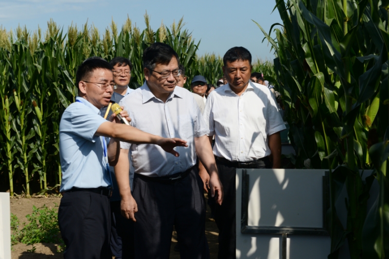 微信图片_20250826142020_11_137.jpg 微信图片_20250826142020_11_137.jpg